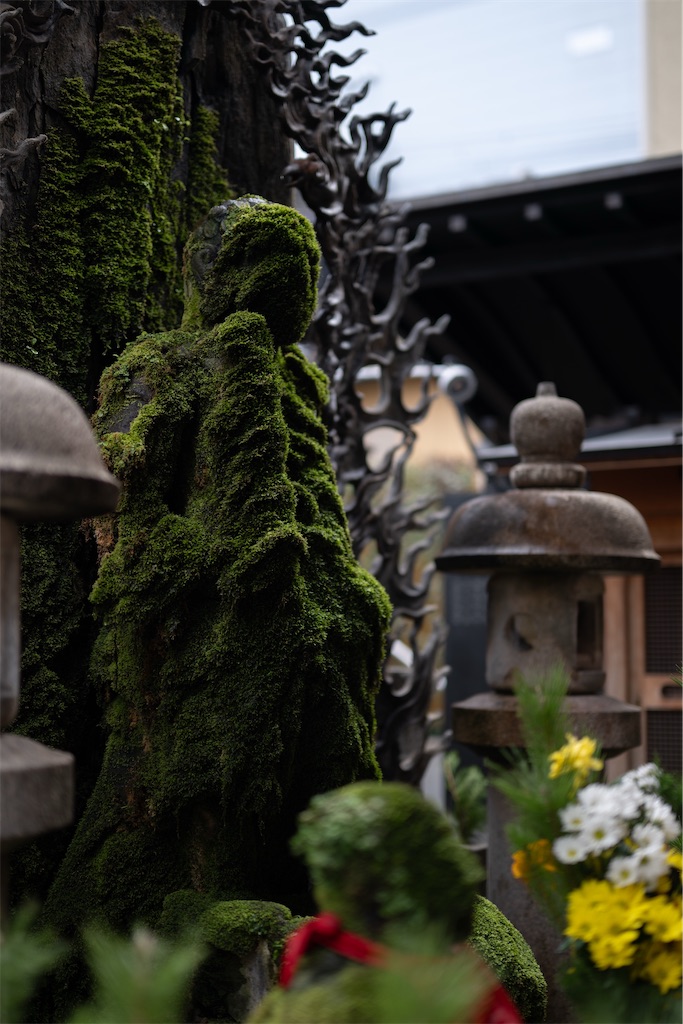 f:id:muramasachang:20260122230221j:image f:id:muramasachang:20260122230221j:image