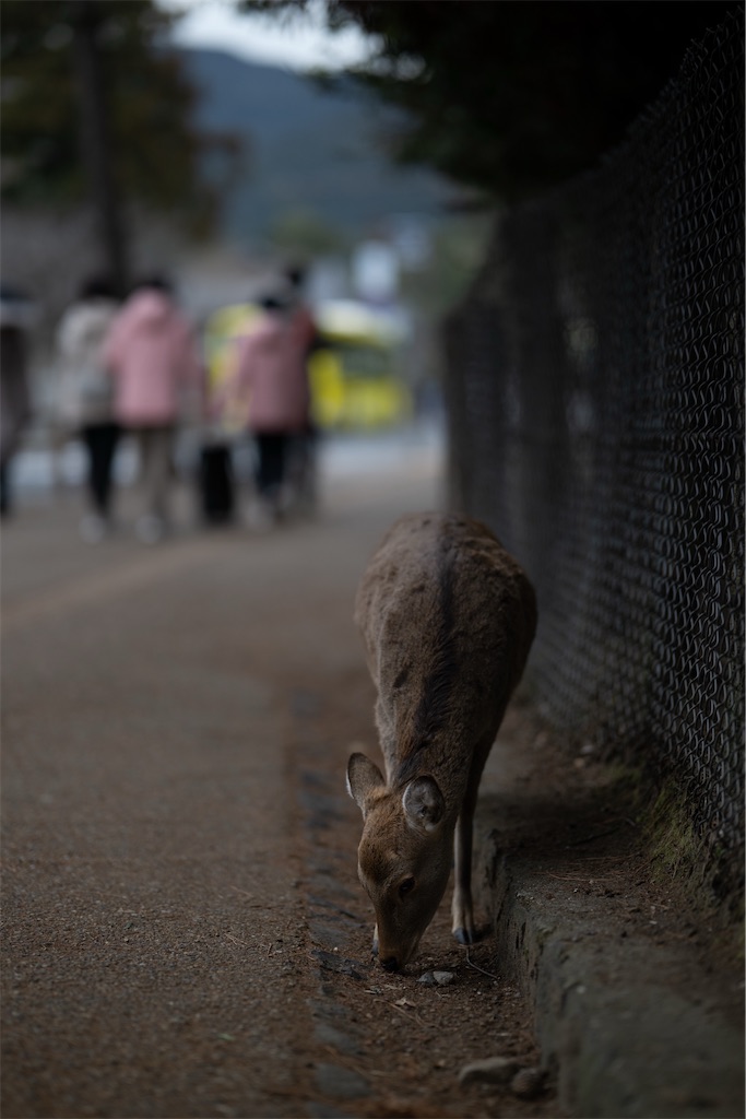 f:id:muramasachang:20260210194351j:image f:id:muramasachang:20260210194351j:image