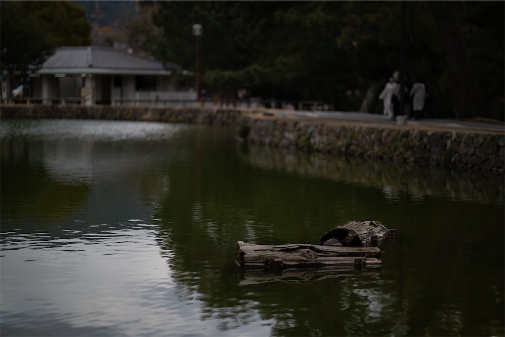 f:id:muramasachang:20260210194702j:image