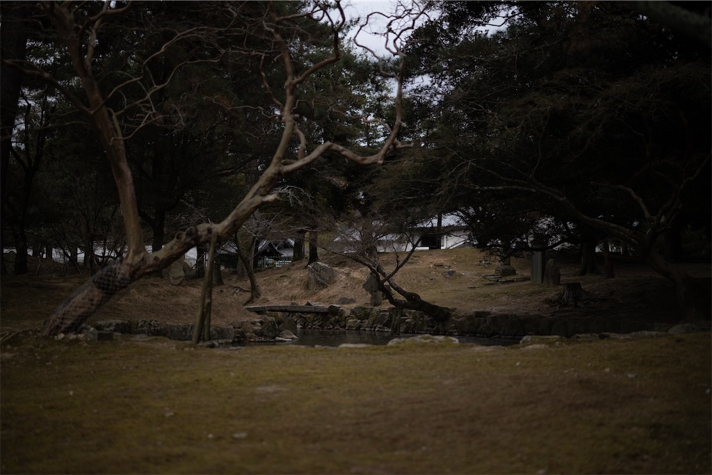 f:id:muramasachang:20260210205513j:image