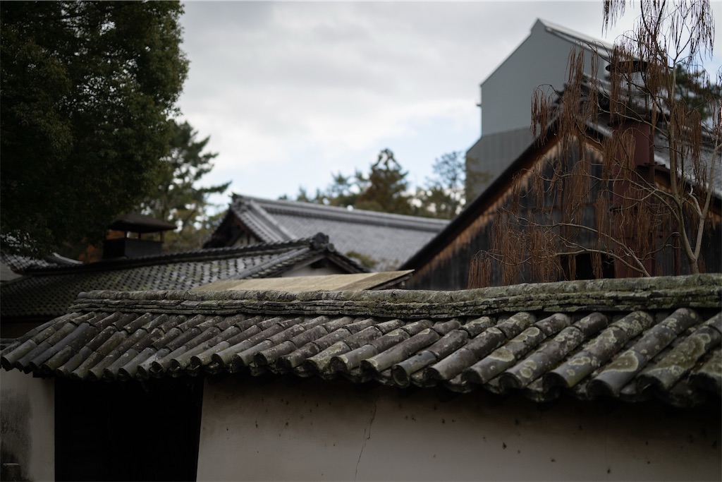 f:id:muramasachang:20260210205534j:image f:id:muramasachang:20260210205534j:image