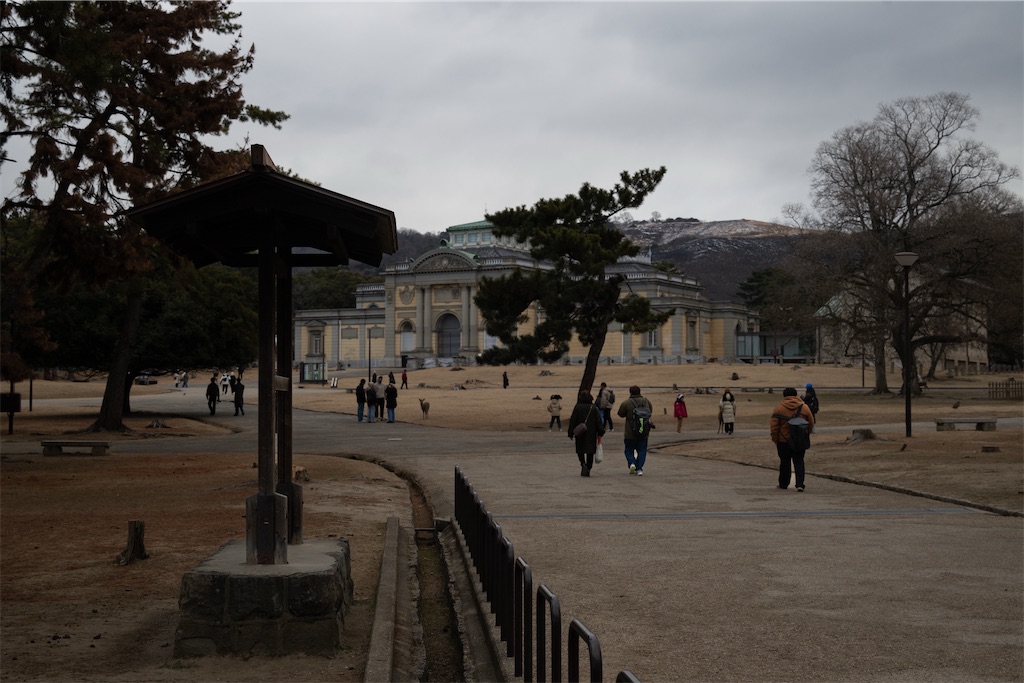 f:id:muramasachang:20260210210157j:image
