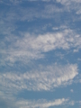 20091025064901
