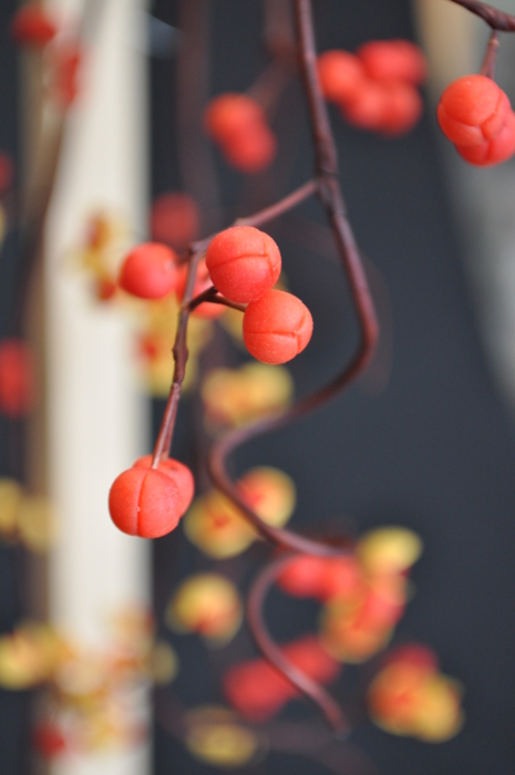 f:id:muramoto-wagashi:20110910161148j:image