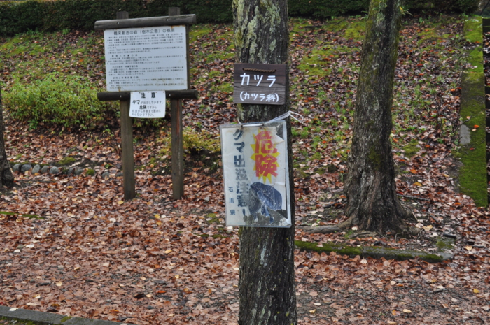 f:id:muramoto-wagashi:20111026091748j:image