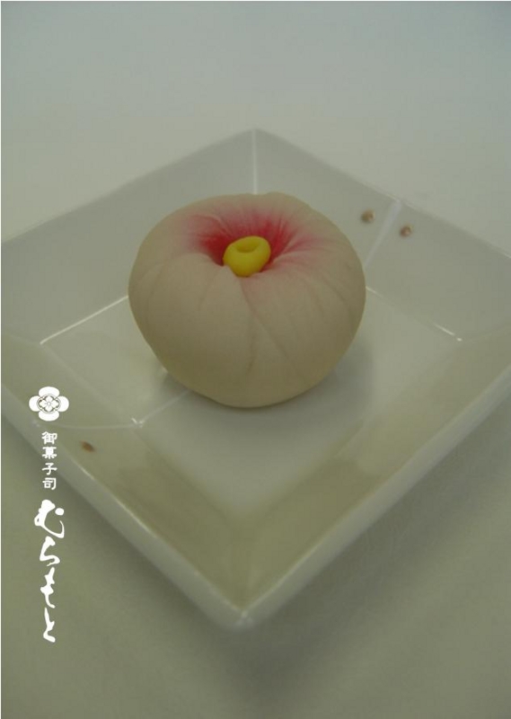 上生菓子 冬椿 です 御菓子司 むらもと