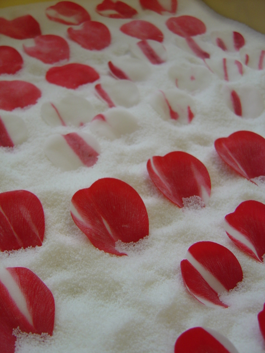 f:id:muramoto-wagashi:20120217164223j:image f:id:muramoto-wagashi:20120217164223j:image