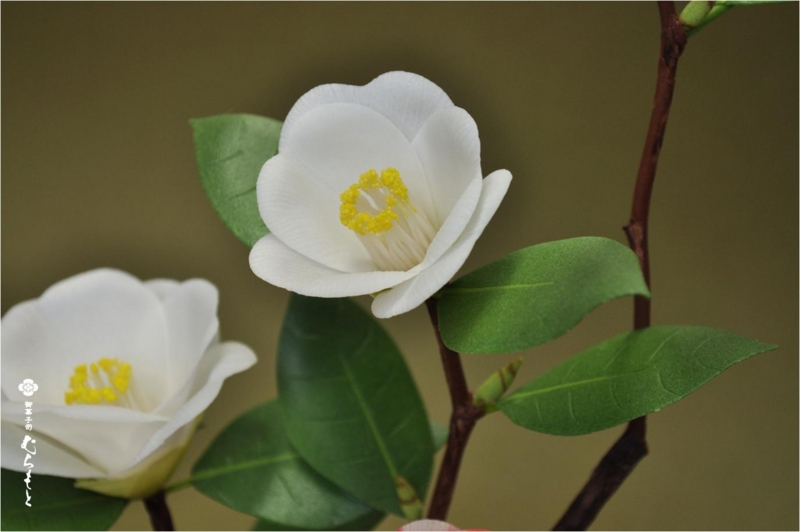 f:id:muramoto-wagashi:20120307193424j:image f:id:muramoto-wagashi:20120307193424j:image