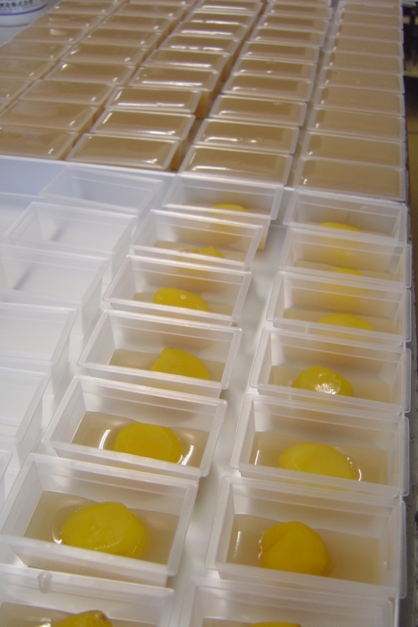 f:id:muramoto-wagashi:20120312092529j:image