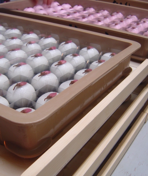 f:id:muramoto-wagashi:20120408185550j:image