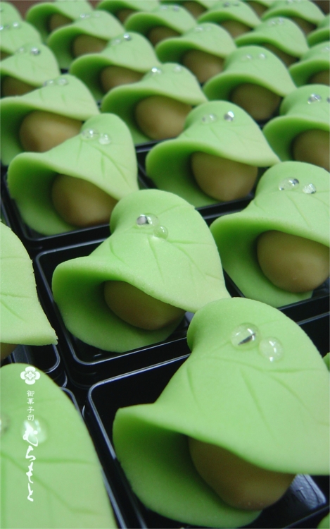 f:id:muramoto-wagashi:20120526194032j:image