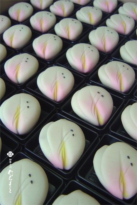 f:id:muramoto-wagashi:20120609195414j:image