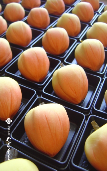 f:id:muramoto-wagashi:20130720201054j:image f:id:muramoto-wagashi:20130720201054j:image