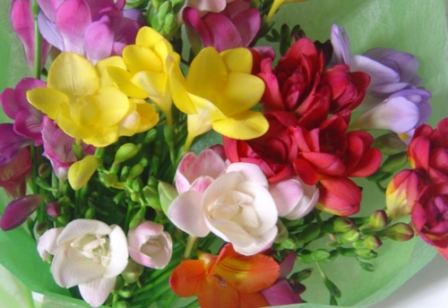 f:id:muramoto-wagashi:20140319200649j:image