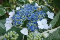20140617063348