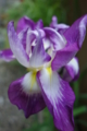 20140617105532