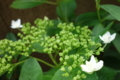 20140619085703