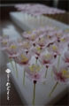 20140620202359