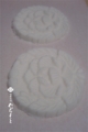 20140905195228