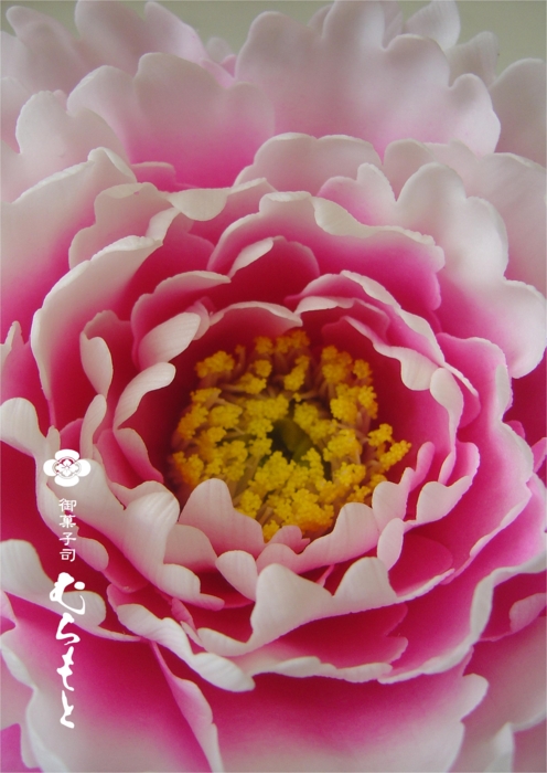 f:id:muramoto-wagashi:20141008190720j:image f:id:muramoto-wagashi:20141008190720j:image
