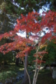 20141105104711