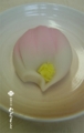 20141108190504