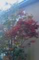 20141110071041