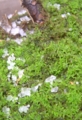 20141202105222