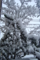 20150101104047