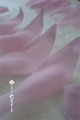 20150316202529