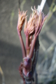 20150321164230
