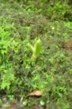 20150329121224