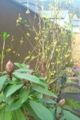 20150331171846