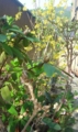 20150409164324