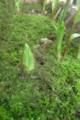 20150409164350