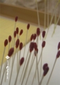20150417195359
