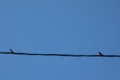 20150426143529