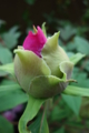 20150428080122