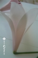 20150520080047