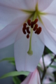 20150611094437