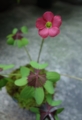20150611123045