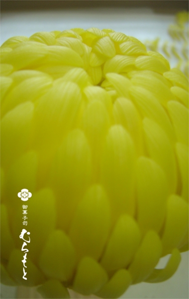 f:id:muramoto-wagashi:20150706195242j:image f:id:muramoto-wagashi:20150706195242j:image