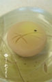 20150820073907