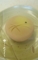 20150820073907