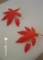 20150914191833