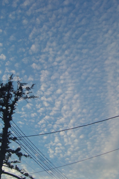 20151026172550