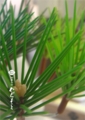 20160513203710
