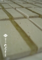 20170113193418