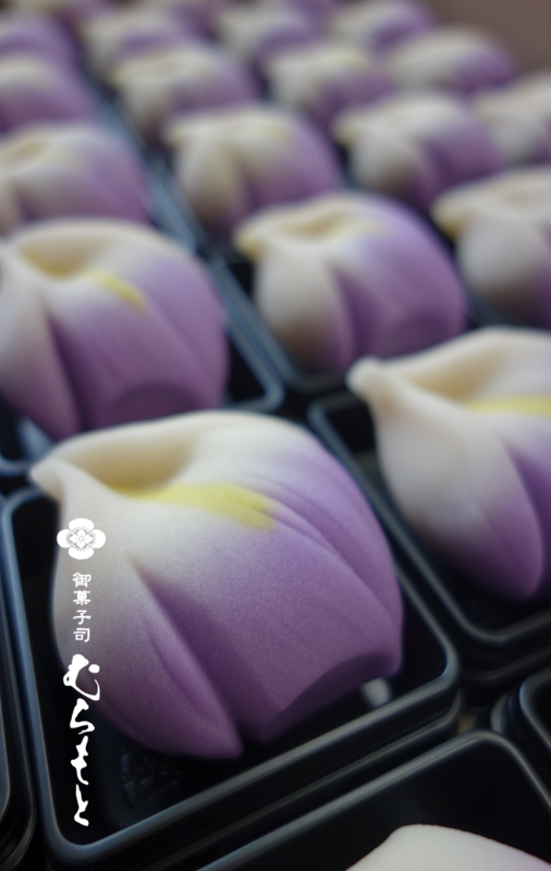 上生菓子 花菖蒲です 御菓子司 むらもと 上生菓子 花菖蒲です 御菓子司 むらもと