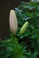 20170622122713
